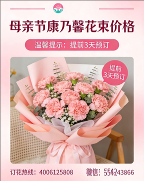 南阳淅川县花店母亲节康乃馨花束
