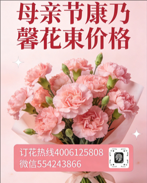南阳淅川县花店母亲节康乃馨花束